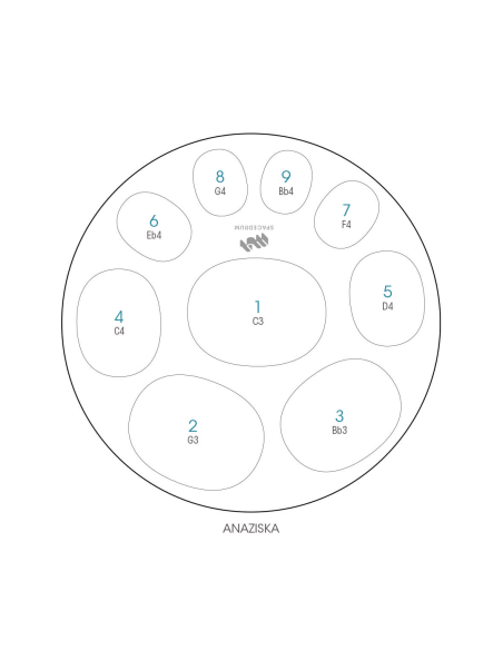Spacedrum Evolution 9 notes - 60 cm - Anaziska - Schéma notation en anglais