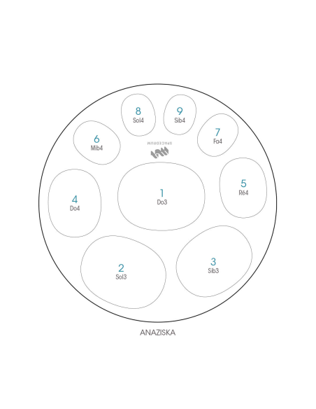 Spacedrum Evolution 9 notes - 60 cm - Anaziska - Schéma notation en frnçais