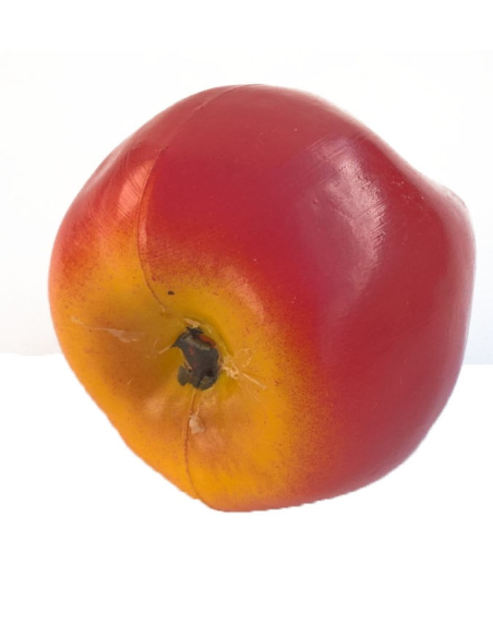 Shaker fruits - POMME - Roots