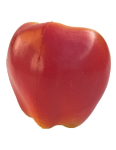 Shaker fruits - POMME - Roots 2