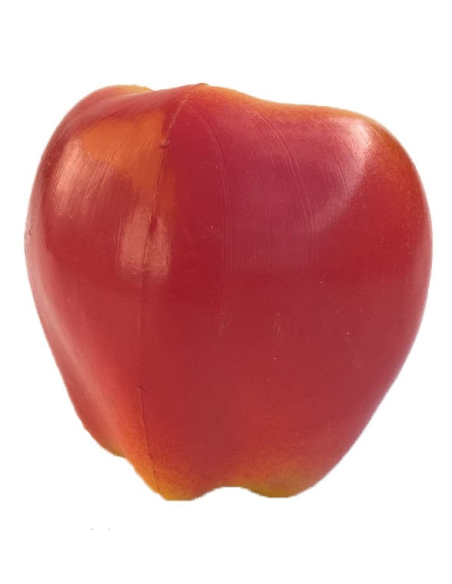 Shaker fruits - POMME - Roots
