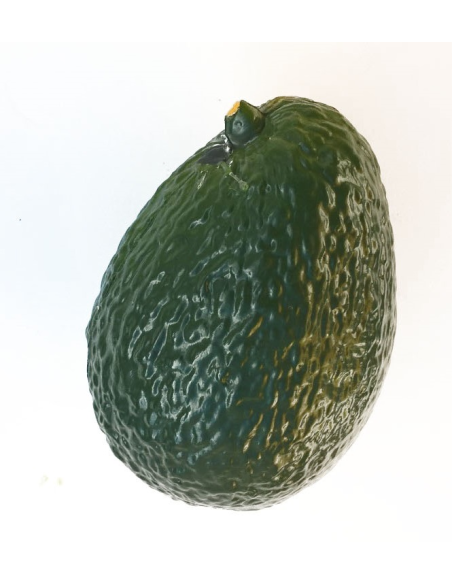 Shaker fruits - AVOCAT - Roots