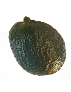 Shaker fruits - AVOCAT - Roots 2