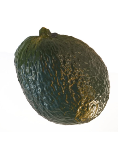 Shaker fruits - AVOCAT - Roots