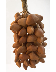 Crecelle (Chimes kenari) - son aigu - ROOTS 2