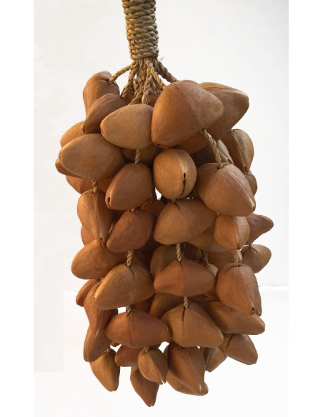 Crecelle (Chimes kenari) - son aigu - ROOTS