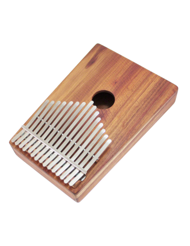 Kalimba sur caisse Alto Chromatique 26 notes avec pick up - H. Tracey