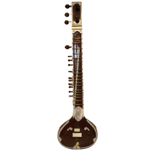 Sitar professionnel + Flycase pro en fibre