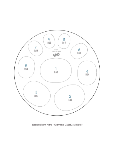 Spacedrum Nitro 9 notes - 55 cm - CELTIC Minor