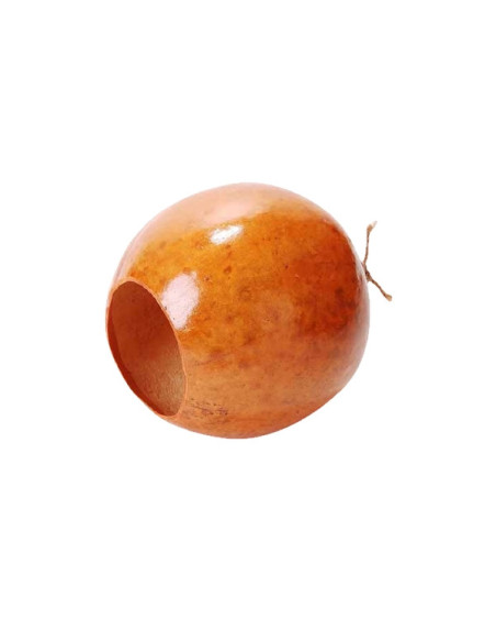 Calebasse de berimbau - Contemporãnea